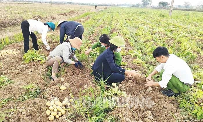 Xã Minh Hòa phấn đấu đạt chuẩn nông thôn mới nâng cao trong năm 2023